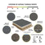 The Lifespan of Asphalt Shingle Roofs: What NJ Homeowners Should Know