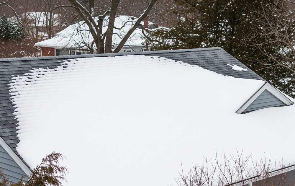 Gemini_Generated_Image_lhx2bblhx2bblhx2